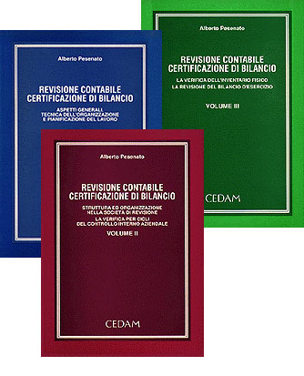 Revisione contabile Certificazione di bilancio