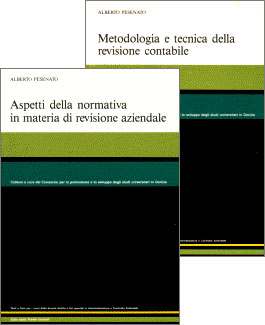 Aspetti della normativa in materia di revisione aziendale - Metodologia e tecnica della revisione contabile